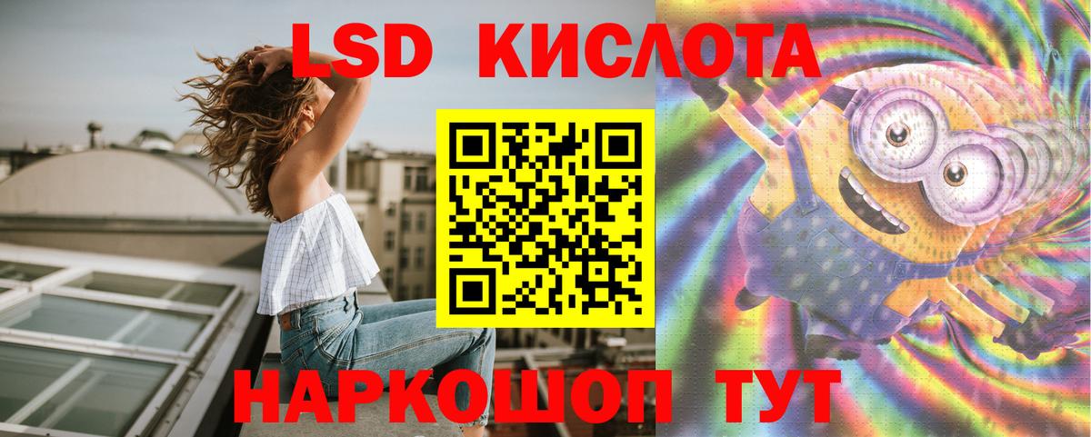 Галлюциногенные грибы Богданович