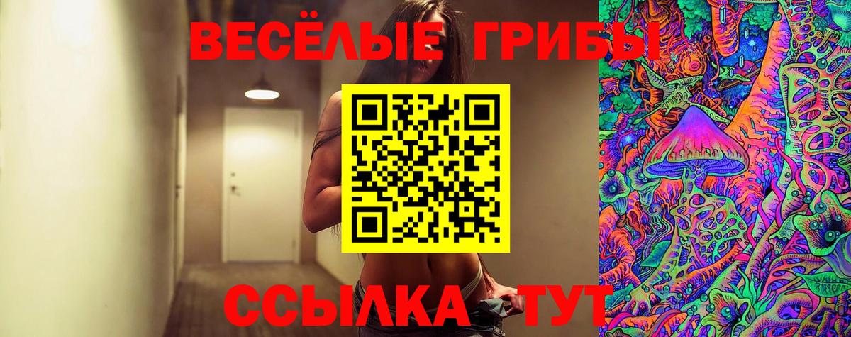 Богданович  Галлюциногенные грибы мицелий  Вход с VPN 